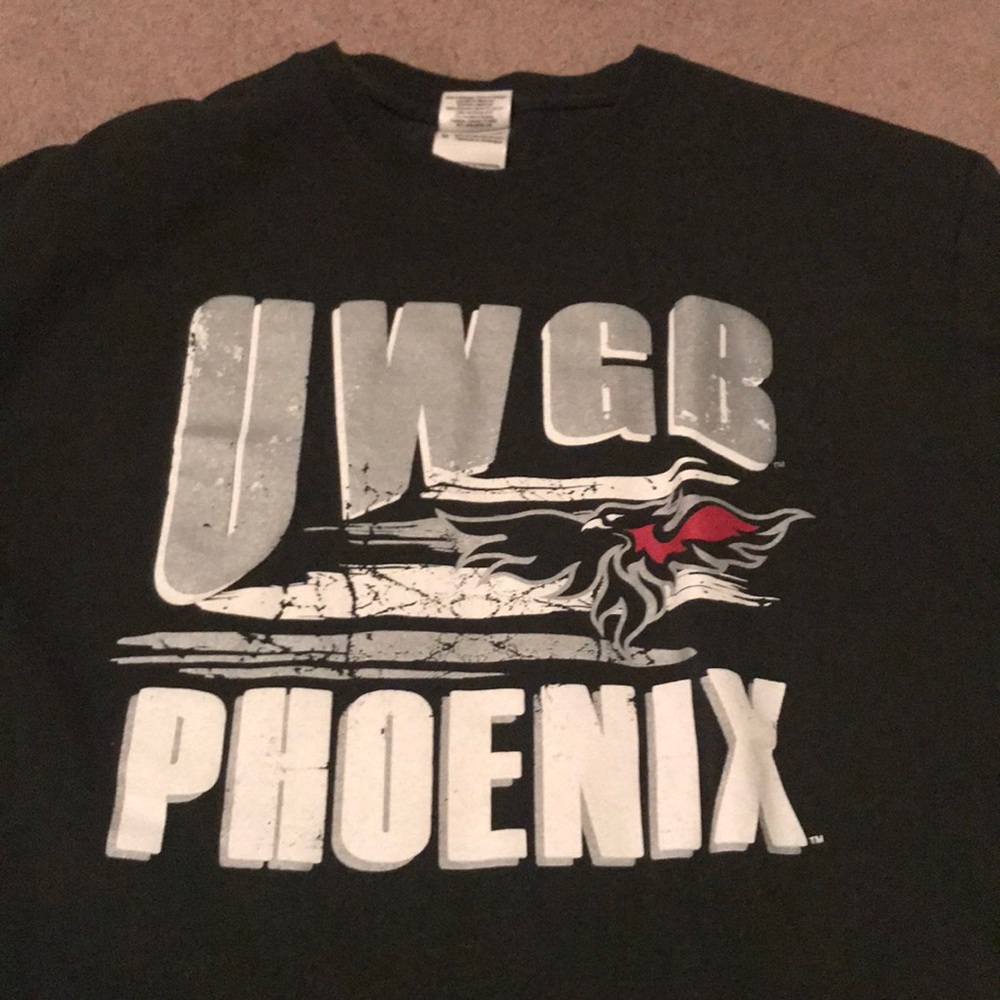 UWGB Phoenix T-shirt